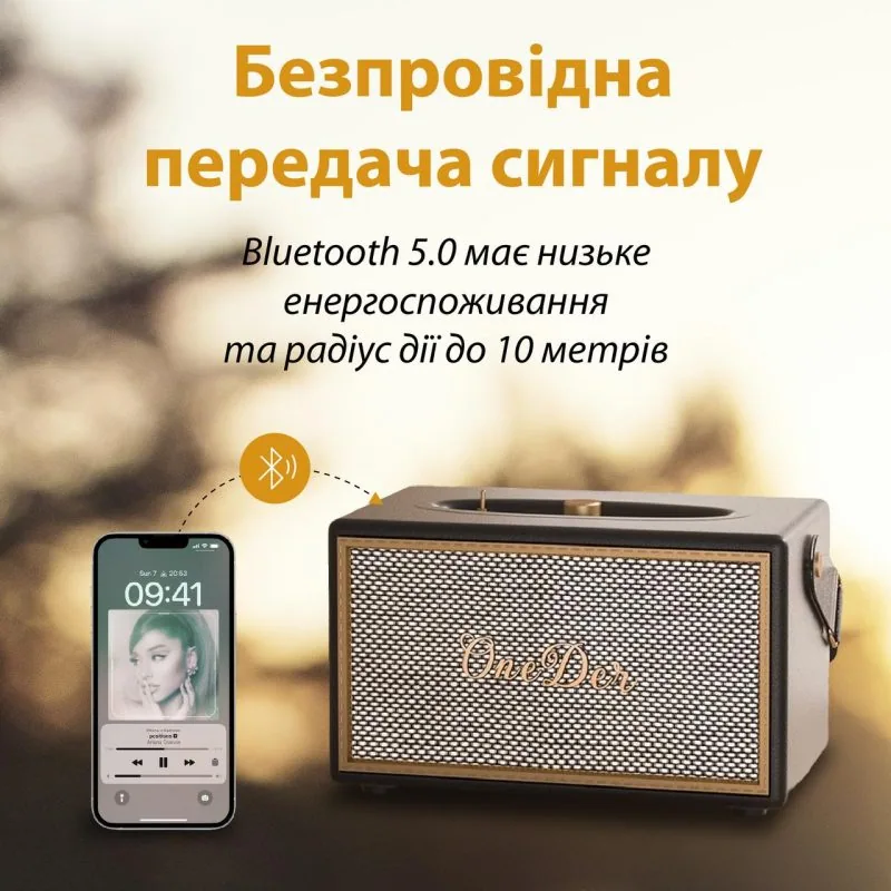 Зображення товару Портативна колонка OneDer D6 BT/TF/USB/AUX 40 Вт Brown1