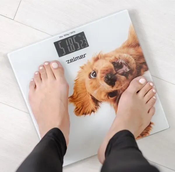 Зображення товару Ваги підлогові Zelmer ZBS 10101