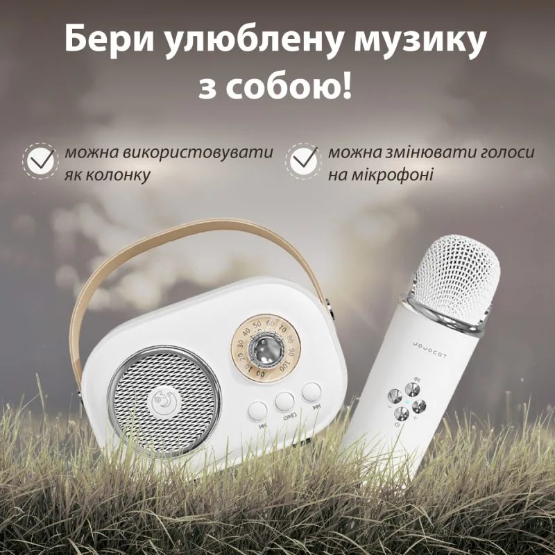 Зображення товару Портативна колонка C20W2